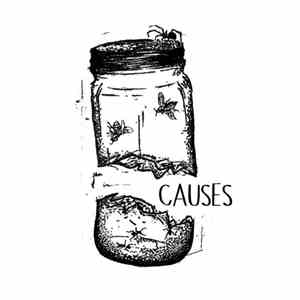 Causes  - Demo