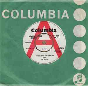 The Zephyrs  - Wonder What I'm Gonna Do