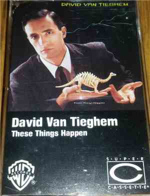 David Van Tieghem - These Things Happen