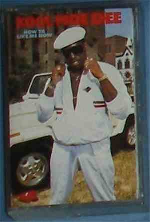 Kool Moe Dee - How Ya Like Me Now