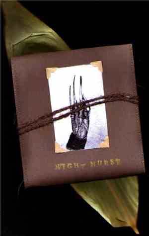 Night Nurse - CD / DVD Booklet