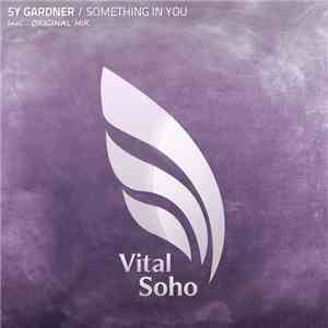 Sy Gardner - Something In You