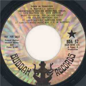 The Kasenetz-Katz Singing Orchestral Circus - Down In Tennessee
