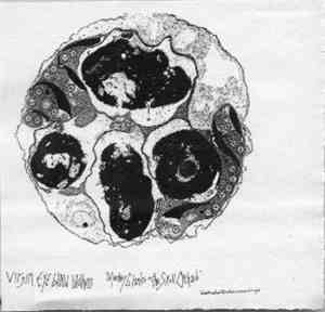 Virgin Eye Blood Brothers - Monkey Glands In The Skull Orchard