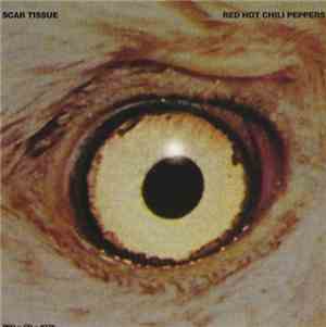 Red Hot Chili Peppers - Scar Tissue