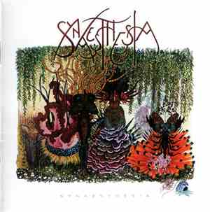 Synaesthesia  - Synaesthesia