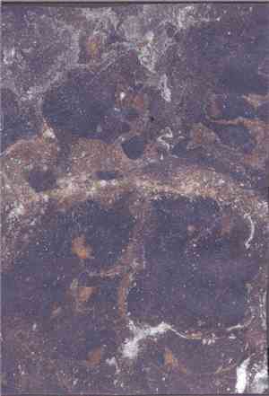 Plasmic Formations - 2008 Tour CD-R