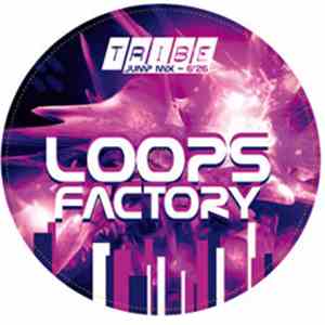 Loops Factory - Tribe