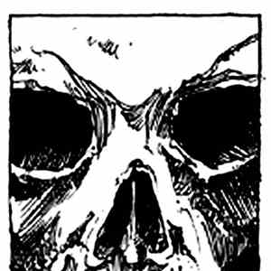 Picadillo Genital - Pro-Mortem