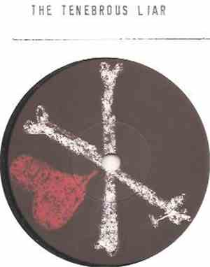The Tenebrous Liar - No Guiding Light