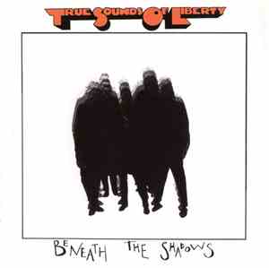 True Sounds Of Liberty - Beneath The Shadows