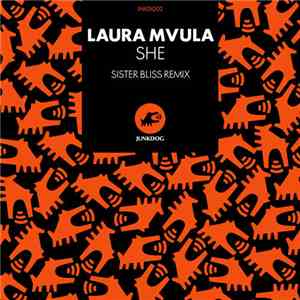 Laura Mvula - She (Sister Bliss Remix)