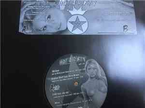Various - Hot & Dirty Vol.33