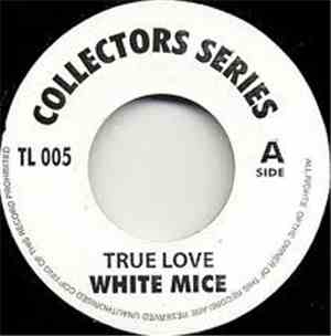 White Mice  - True Love