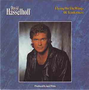 David Hasselhoff - Flying On The Wings Of Tenderness