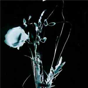 Inoran - 想