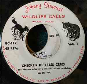 No Artist - Chicken Distress Cries / Rooster Crows