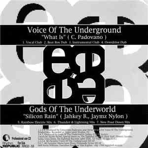 Voice Of The Underground / Gods Of The Underworld - What Is / Silicon Rain