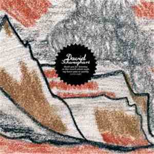 David Schweighart - Thanks For Listening To This Record