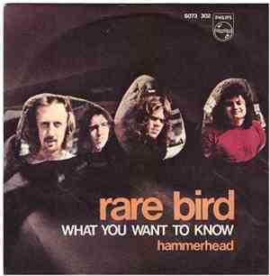 Rare Bird - What You Want To Know / Hammerhead