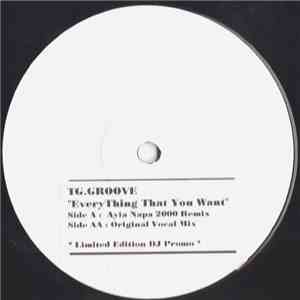 TG.Groove - Everything That You Want
