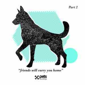 Various - Friends Will Carry You Home Part 2