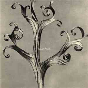 Erika Nesse - Let My Machine Talk To Me