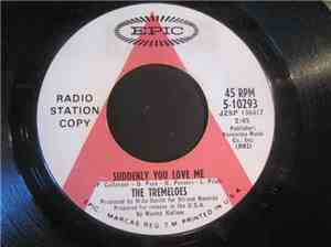 The Tremeloes - Suddenly You Love Me/Suddenly Winter