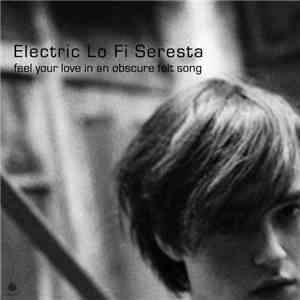 Electric Lo Fi Seresta - Feel Your Love In A Obscure Felt Song
