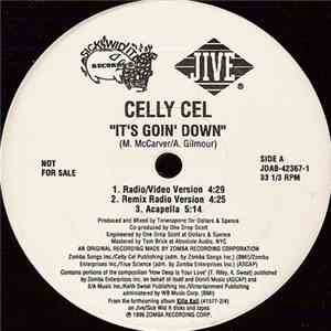 Celly Cel - It's Goin' Down