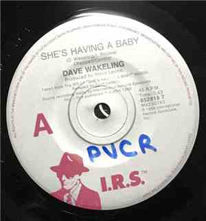 Dave Wakeling, Kirsty MacColl - She's Having A Baby/You Just Haven't Earned ...