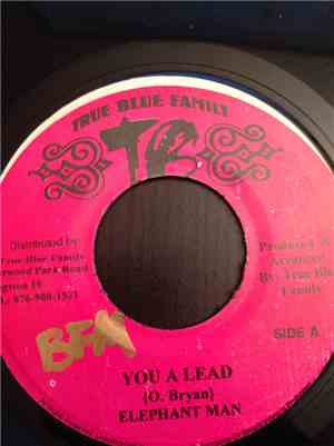 Elephant Man - You A Lead