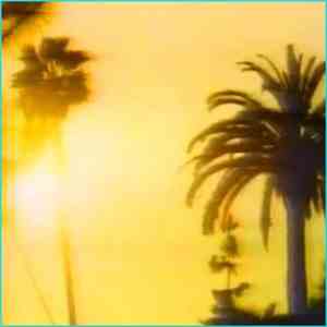 Miami Vice  - Culture Island