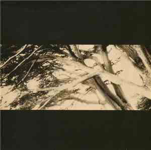 Cristiano Roversi - The Park
