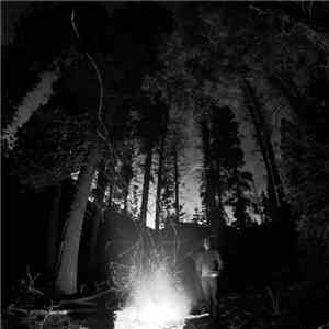 Evergreen Refuge - Immersed