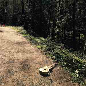 Ross Hammond  - Acoustic Sanctuary Project: Forest Park