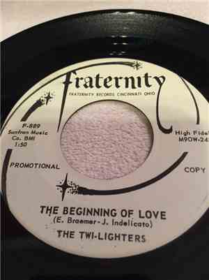 The Twi-Lighters - To Love In Vain / The Beginning Of Love