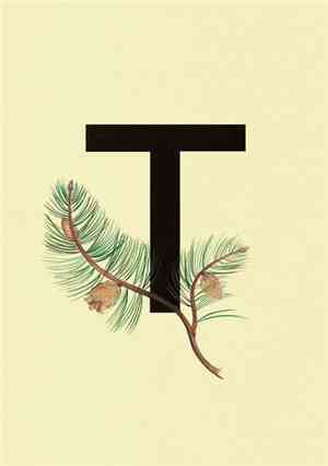Труд - 1