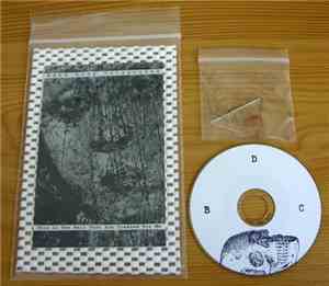 Dead Body Collection - This Is The Hell That You Created For Me