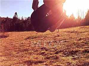 Wildcat  - Do As Two