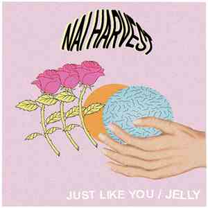 Nai Harvest - Just Like You / Jelly
