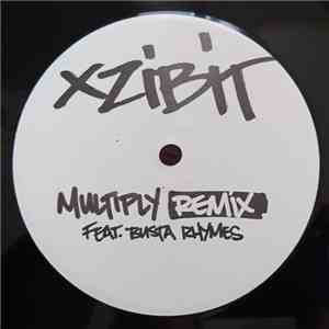 Xzibit - Multiply (Remix)