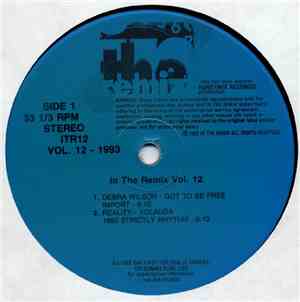Various - In The Remix Vol. 12