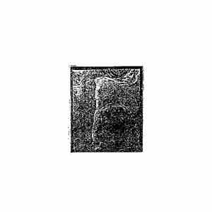 LFY / War  - The Glass House Etiquette