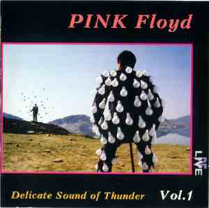 Pink Floyd - Delicate Sound Of Thunder. Vol. 1