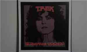 T. Rex - Electric Tracks