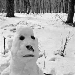 Ethyl Snowman - Scalar Field