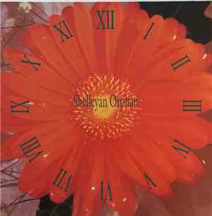 Shelleyan Orphan - Century Flower