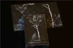 Taarma - Compiling the Wounds and Scars