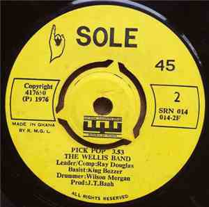 The Wellis Band - Owedey